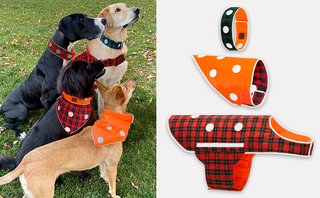 Spot the Dog Reflective Bandana - Reversible Orange/Red Plaid