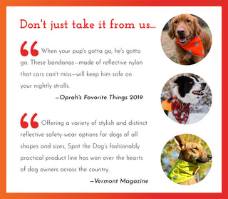 Spot the Dog Reflective Bandana - Reversible Orange/Red Plaid