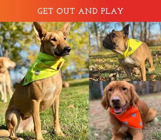 Spot the Dog Reflective Bandana - Reversible Orange/Yellow