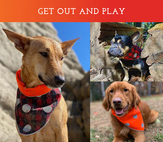 Spot the Dog Reflective Bandana - Reversible Orange/Red Plaid