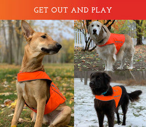 Spot the Dog Reflective Vest - Orange